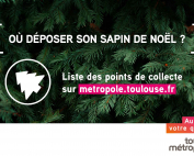 SAPINS RECUP ECRAN2