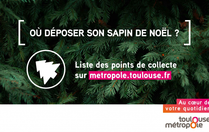 SAPINS RECUP ECRAN2