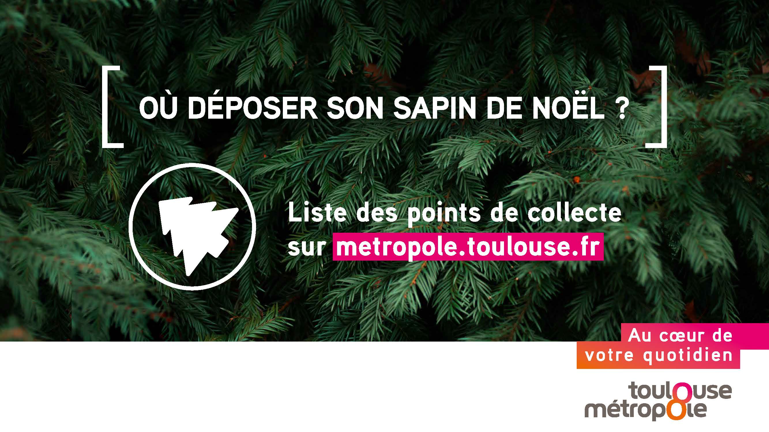 SAPINS RECUP ECRAN2