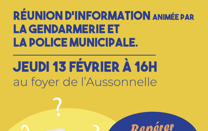 Reunion_publique_arnaque_afficheA3